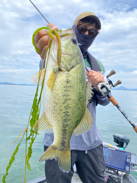 5月31日琵琶湖