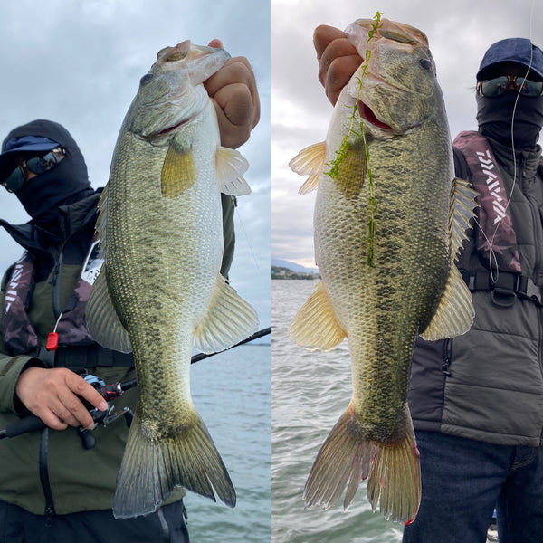 5月26日琵琶湖