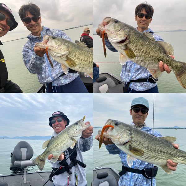 6月6日琵琶湖