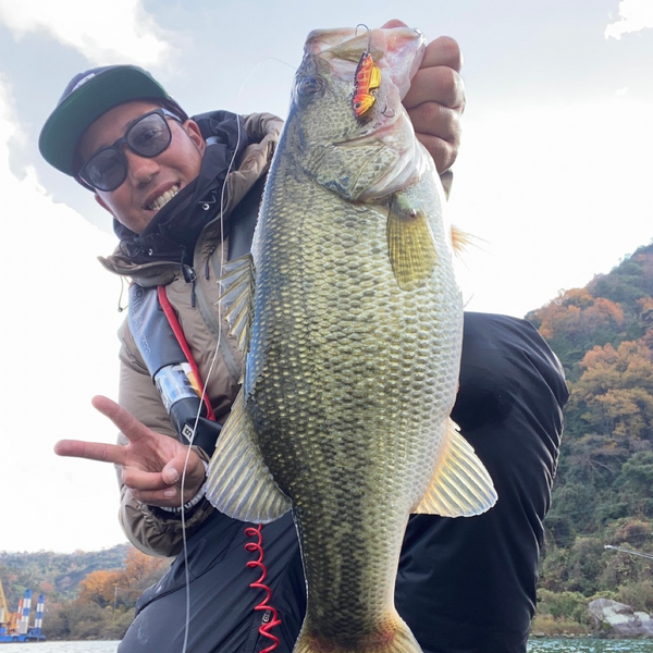 サーキットバイブPR